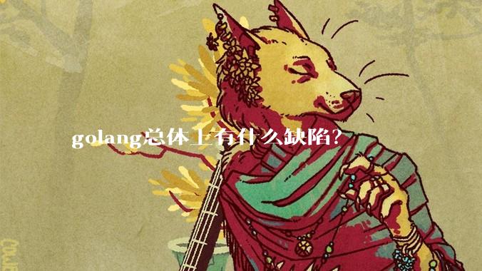 golang总体上有什么缺陷？