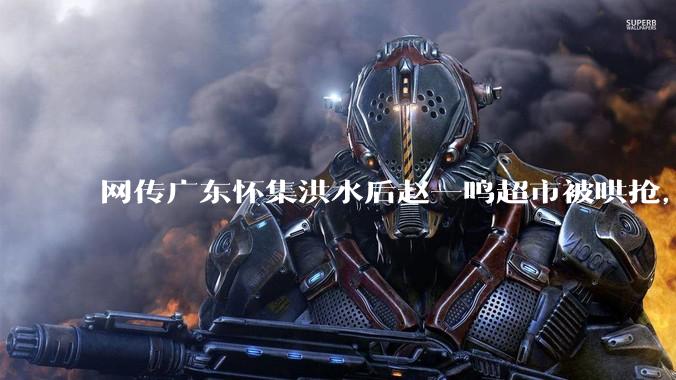 网传广东怀集洪水后赵一鸣超市被哄抢，县***回应相关单位正在核实，若属实哄抢者该承担哪些法律责任？
